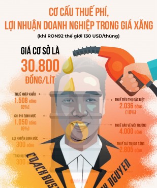 Infographic: Cơ cấu thuế phí lợi nhuận doanh nghiệp trong giá xăng